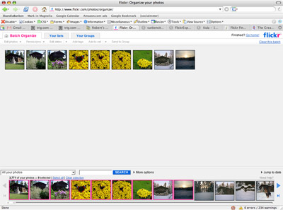 A picture of the Flickr photo Organizer