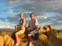 Kameltur i solnedgågnen vid Ayers Rock
