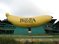 The Big Banana