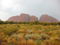 Olgas/Kata Tjuta på håll