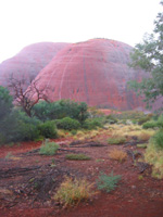 Regn på Olgas/Kata Tjuta