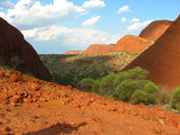 Bland Olgas/Kata Tjuta
