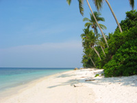 Utsikt över stranden