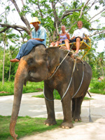 Vi på en elefant