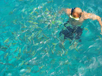 Bobby snorklar vid Ao Maya