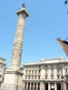 Picture of Colonna Antonina